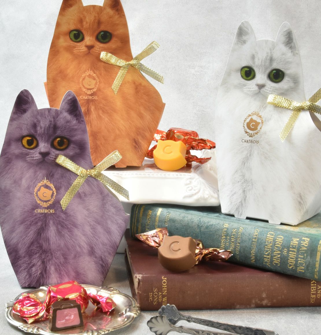 猫好きのため猫モチーフ猫デザイン缶スイーツ特集｜キトン特集