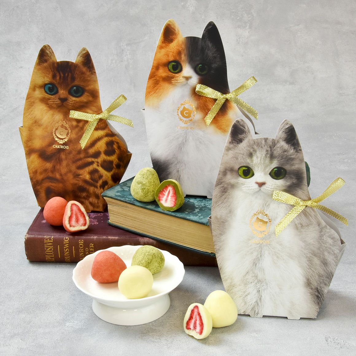 猫好きのため猫モチーフ猫デザイン缶スイーツ特集｜キトン特集