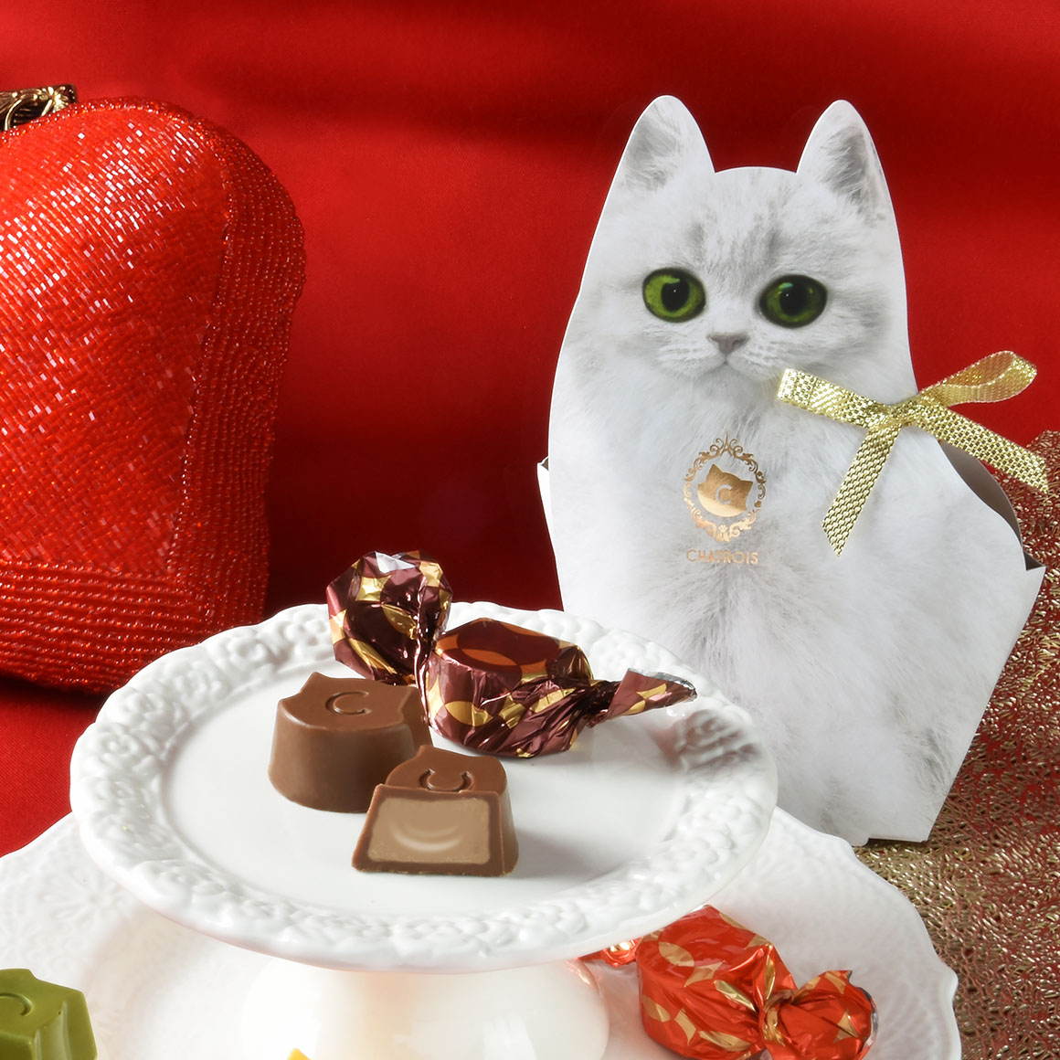 バレンタイン 2025｜シャトロワ（CHATROIS）公式通販サイト｜こねこの