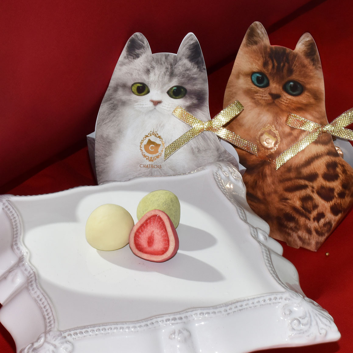 バレンタイン 2025｜シャトロワ（CHATROIS）公式通販サイト｜こねこの