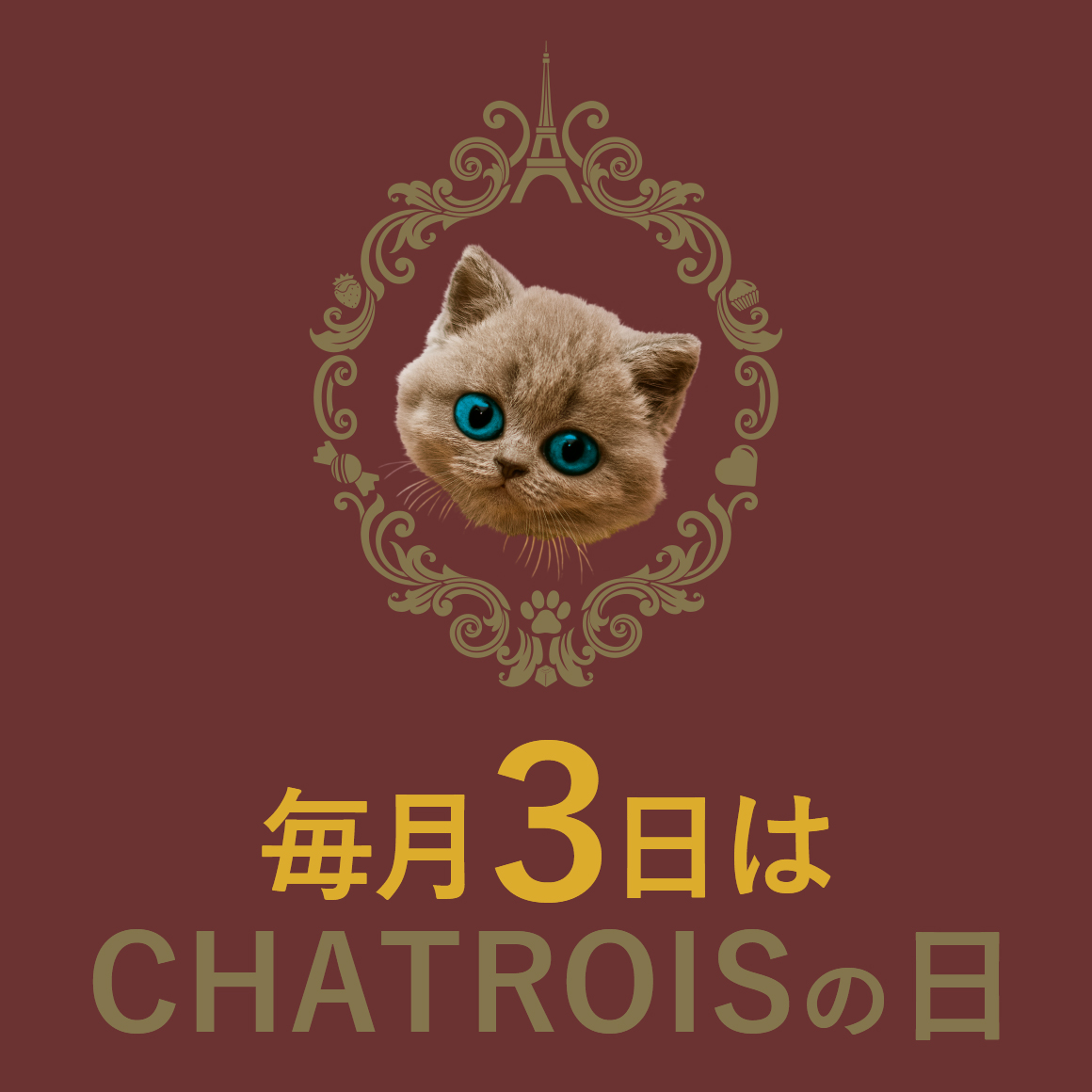 毎月３日はシャトロワの日