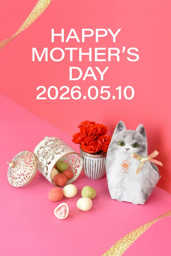 母の日特集2026