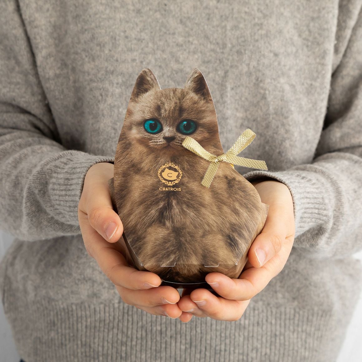キトン・ティラミスアーモンドショコラ 60g｜猫スイーツ・猫モチーフお