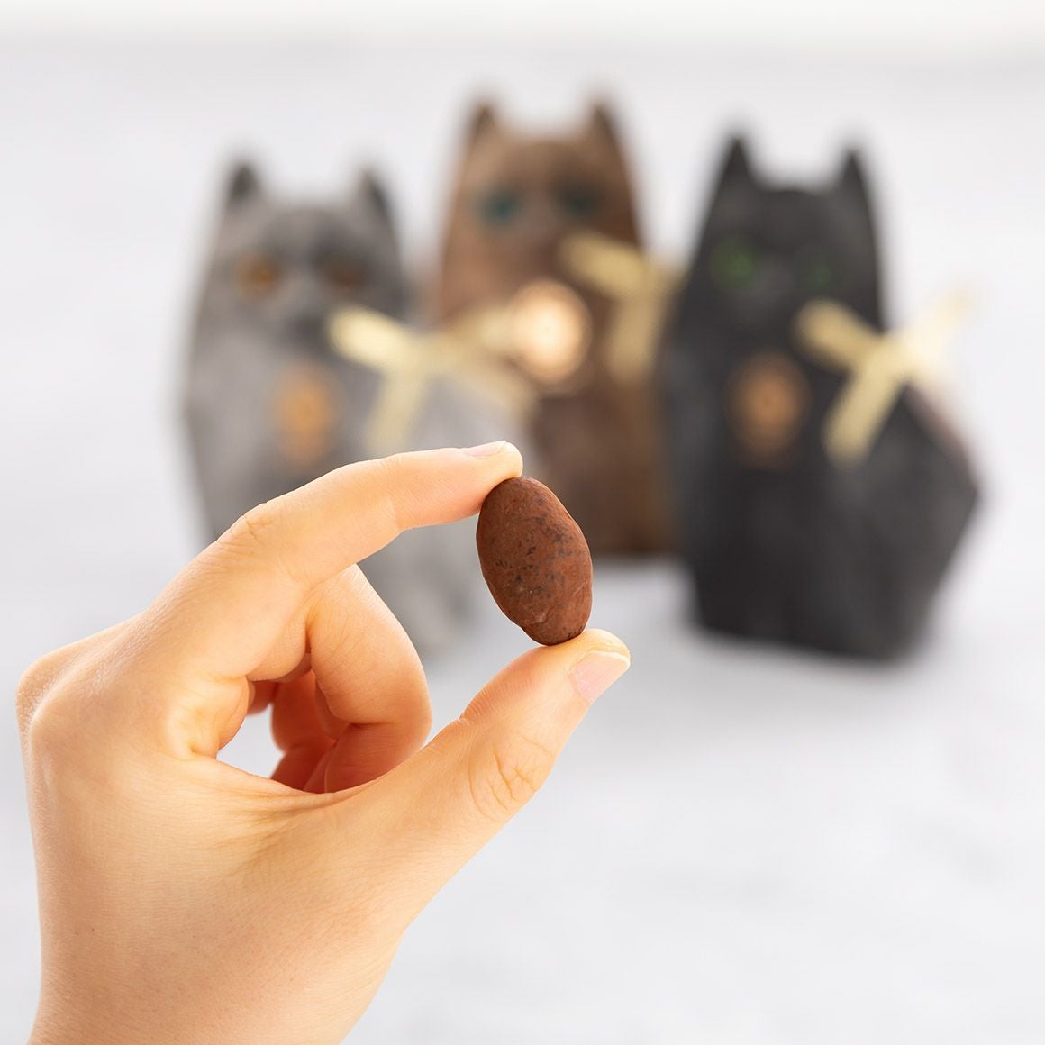 キトン・ティラミスアーモンドショコラ 60g｜猫スイーツ・猫モチーフお