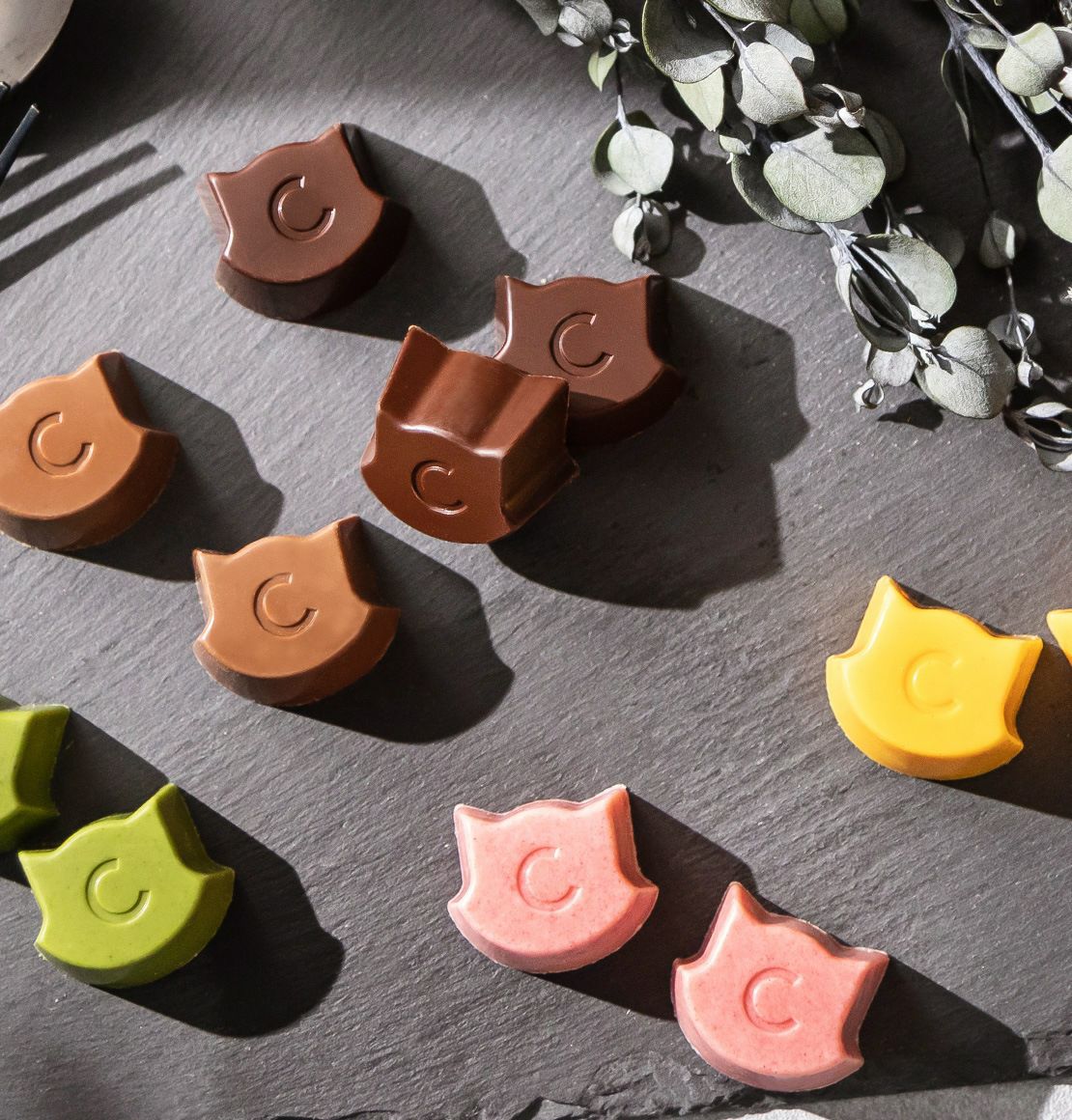 かわいい猫の秘密。 後戻りできないくちどけのガナッシュ。