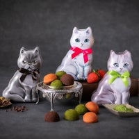 Otete プチフィナンシェの画像