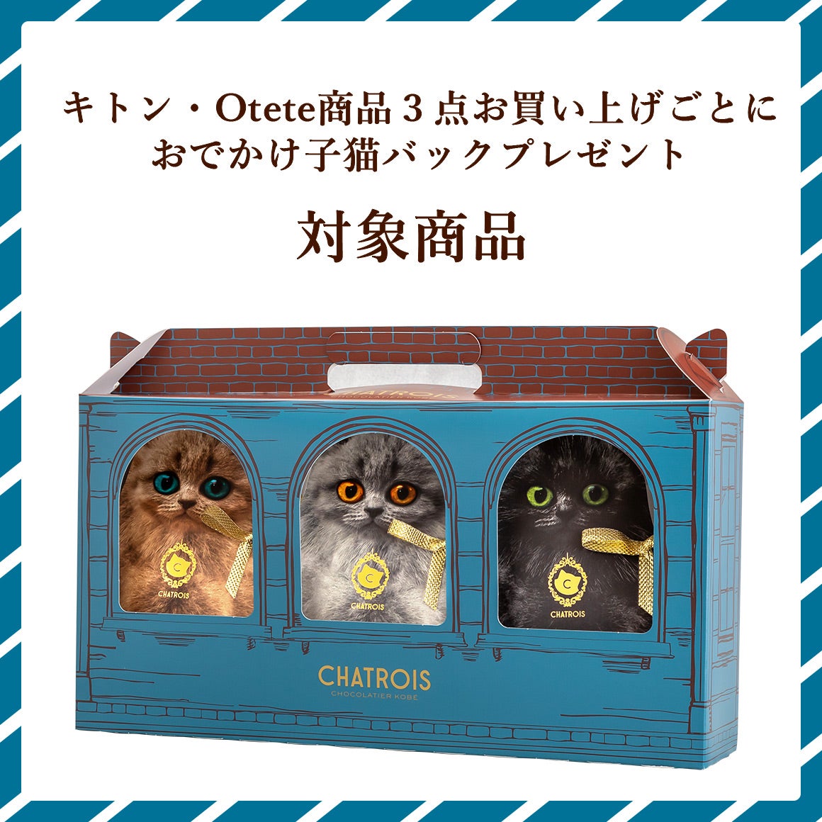 紫音 ゴールド猫4個 シルバー猫 5個 Otete～プチフィナンシェ～ 5個入｜猫スイーツ・猫モチーフお菓子通販