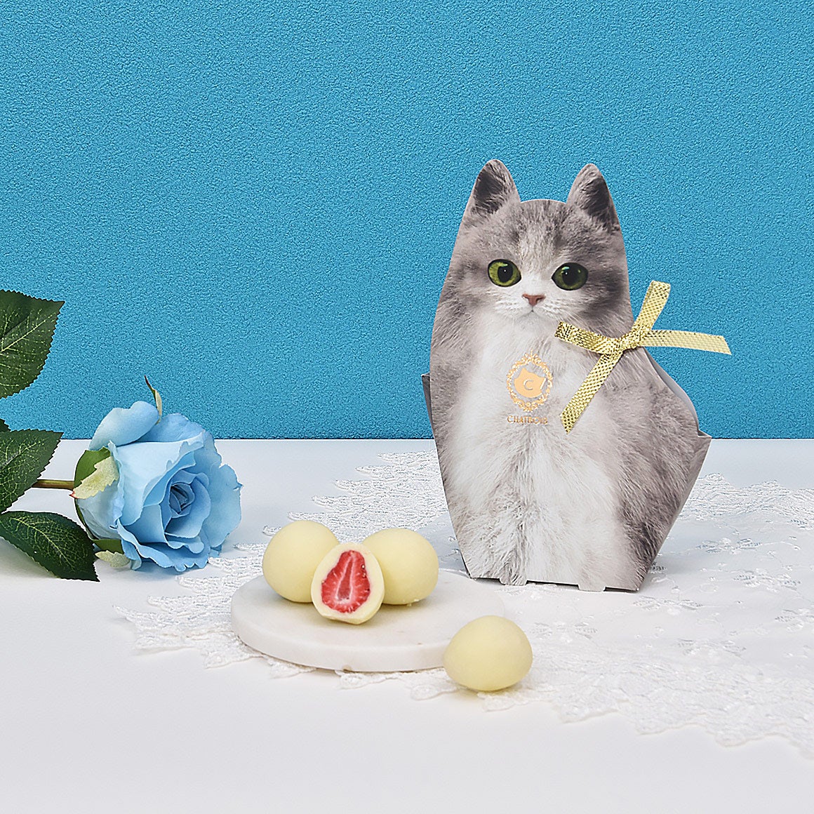 クリスマス特集｜心ときめく猫スイーツギフト｜シャトロワ