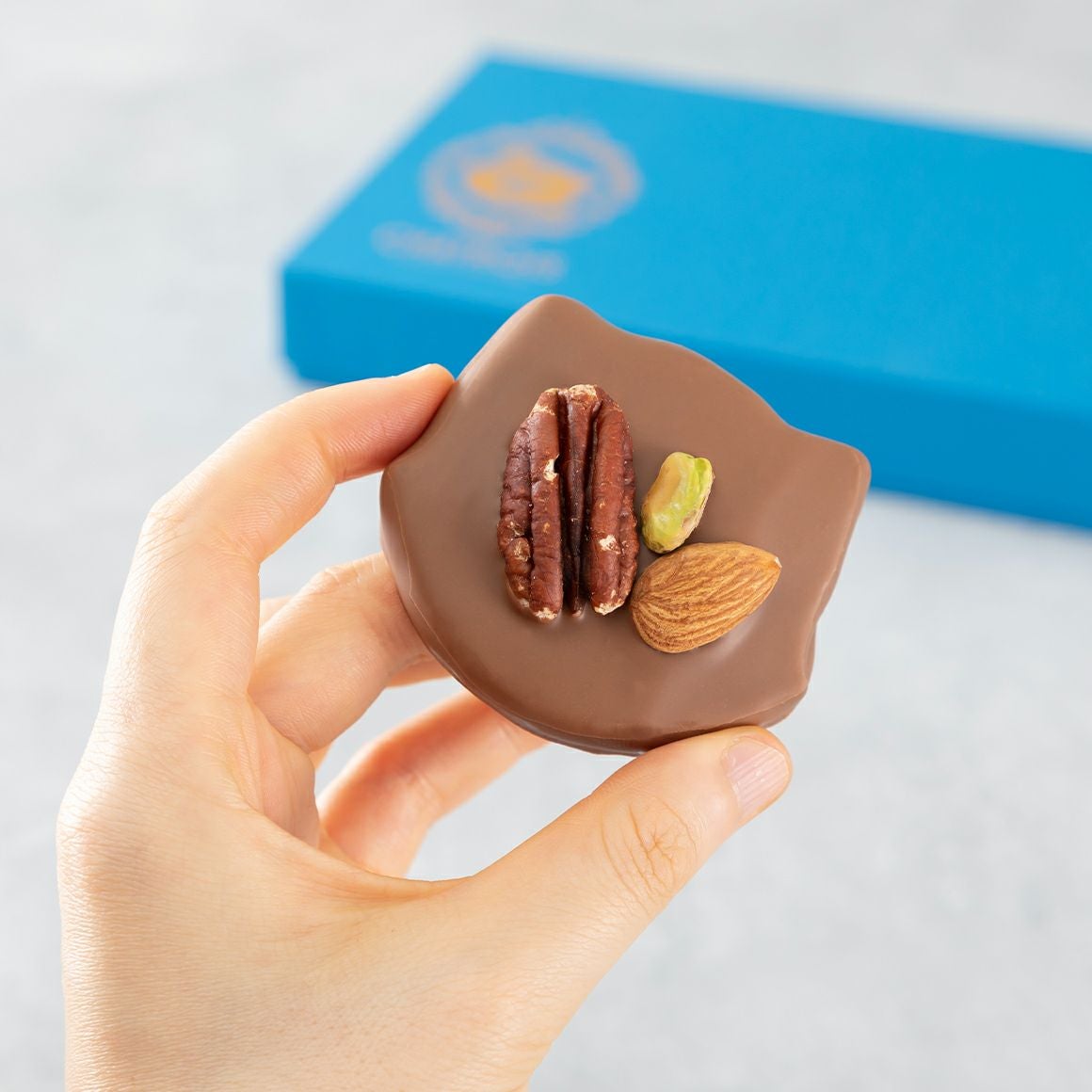 ミヌー6枚入｜猫スイーツ・猫モチーフお菓子通販【シャトロワ】