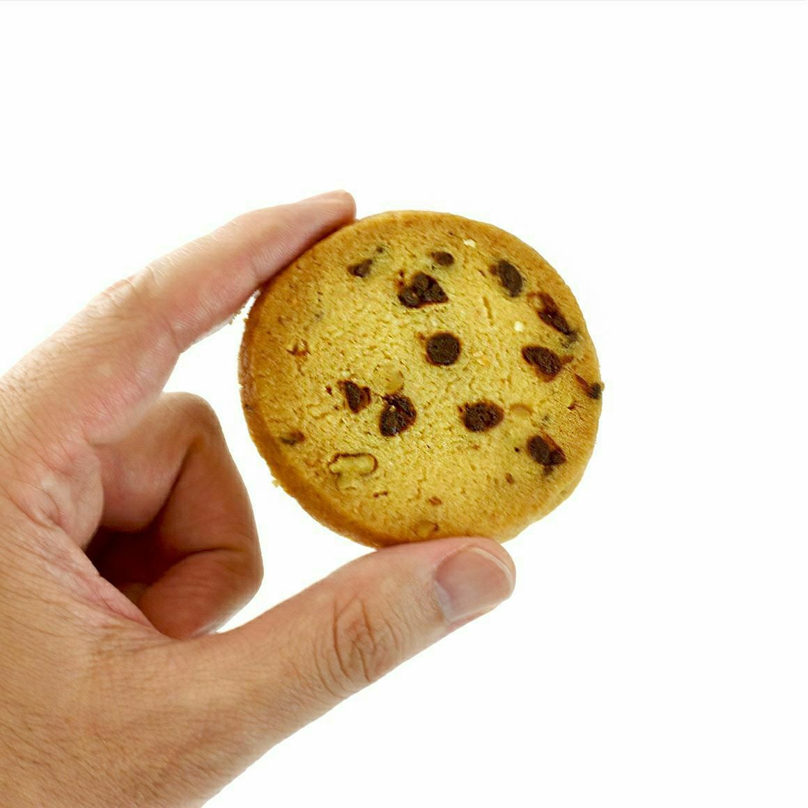 金のフェイス缶Wサブレサブレ手持ち