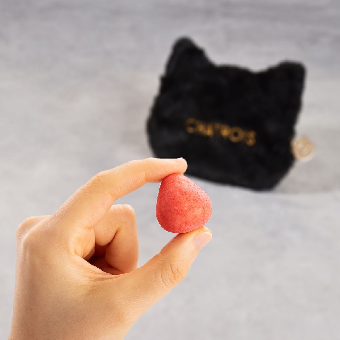 子猫のポーチ 苺の牛乳ショコラ｜猫スイーツ・猫モチーフお菓子通販