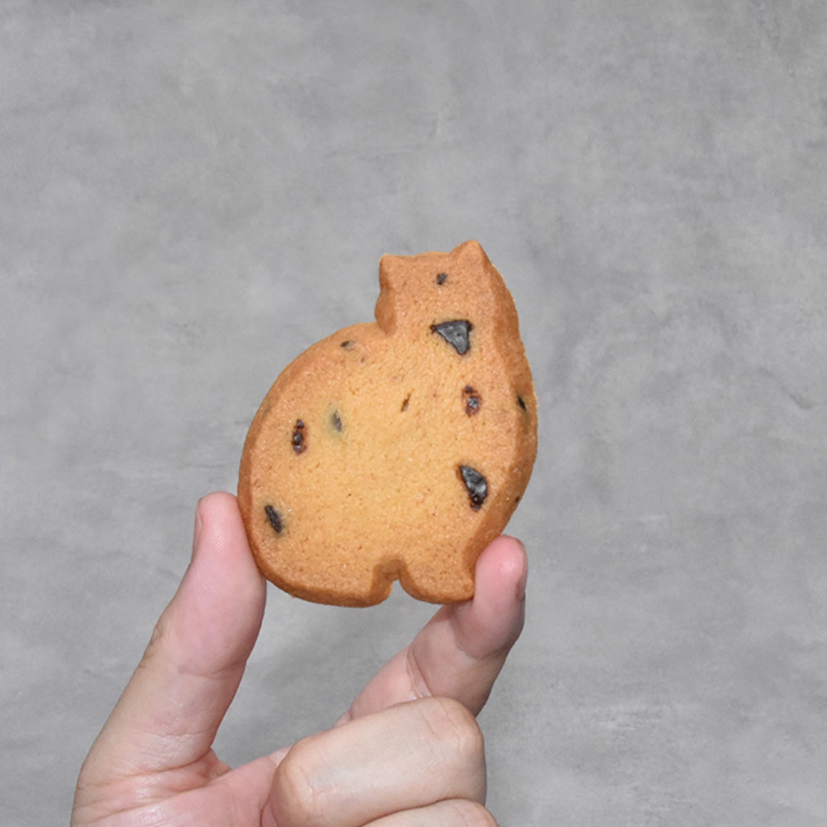 Otete～子猫のクッキー～｜猫スイーツ・猫モチーフお菓子通販
