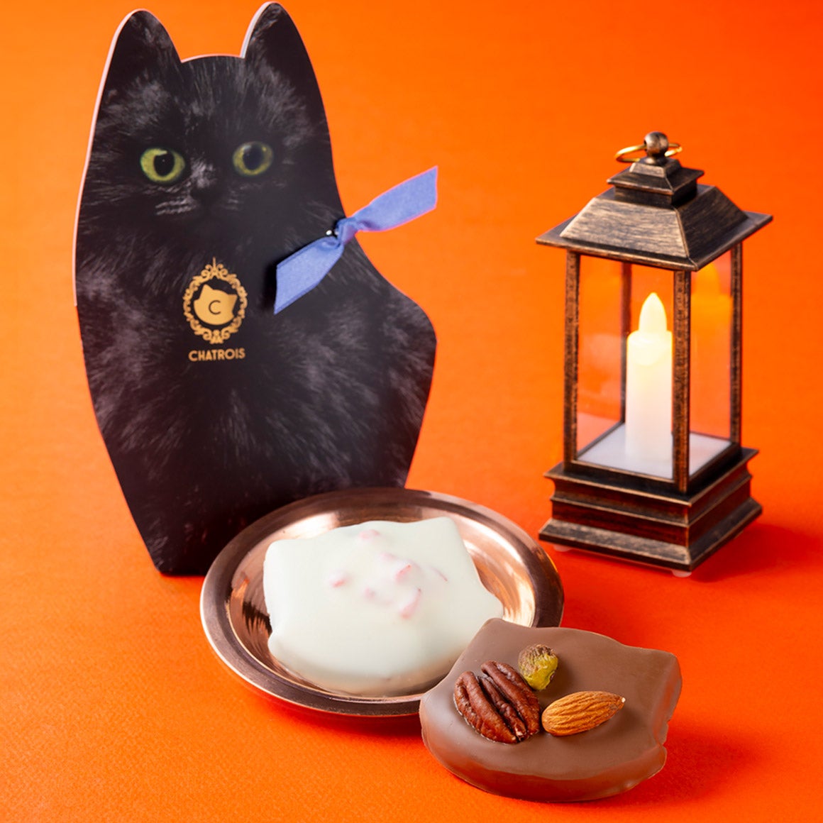 猫モチーフの焼き菓子・クッキー・フィナンシェ｜シャトロワ公式通販